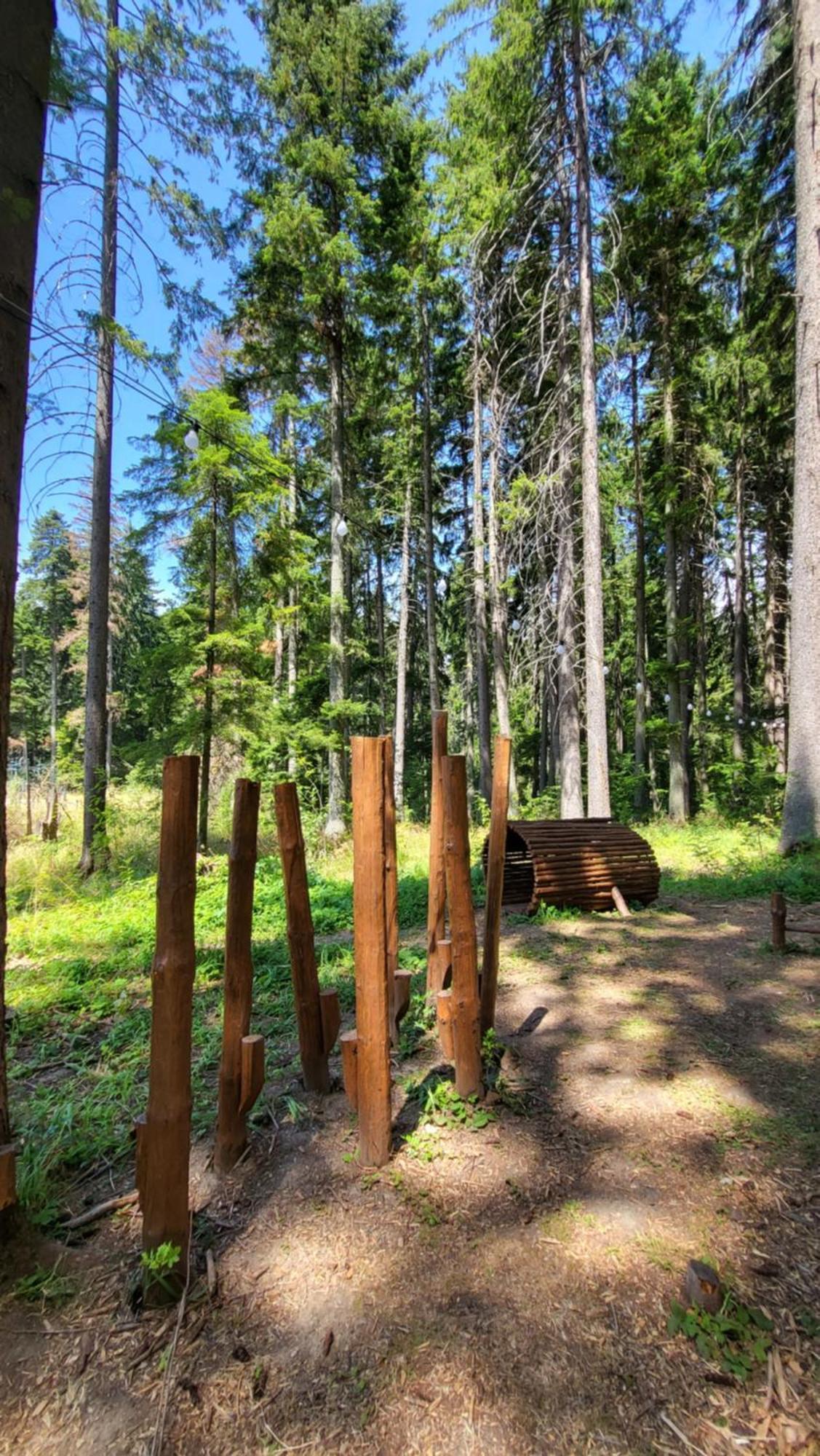 Pinewood Ang Luxurious Apartment A43, Borovets Gardens Luaran gambar