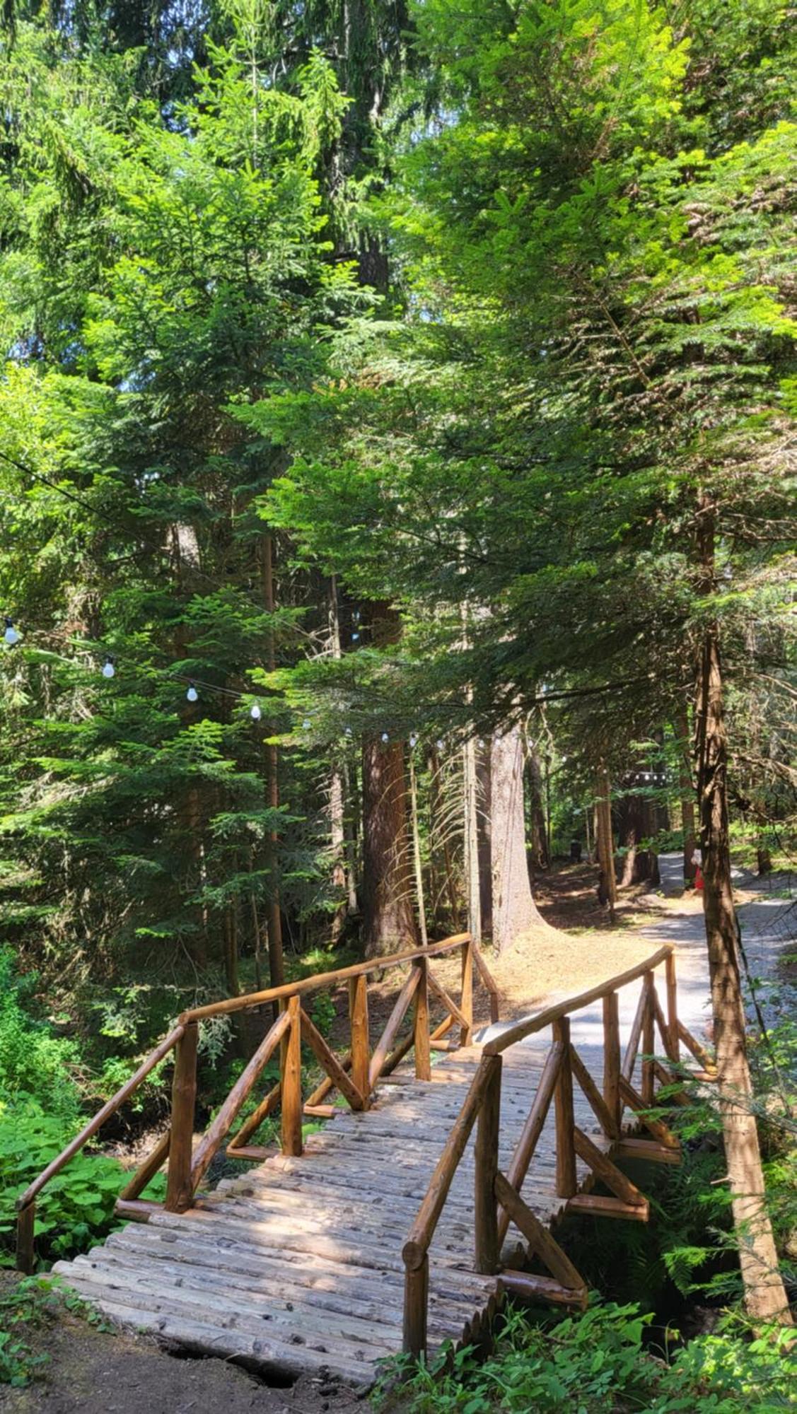 Pinewood Ang Luxurious Apartment A43, Borovets Gardens Luaran gambar